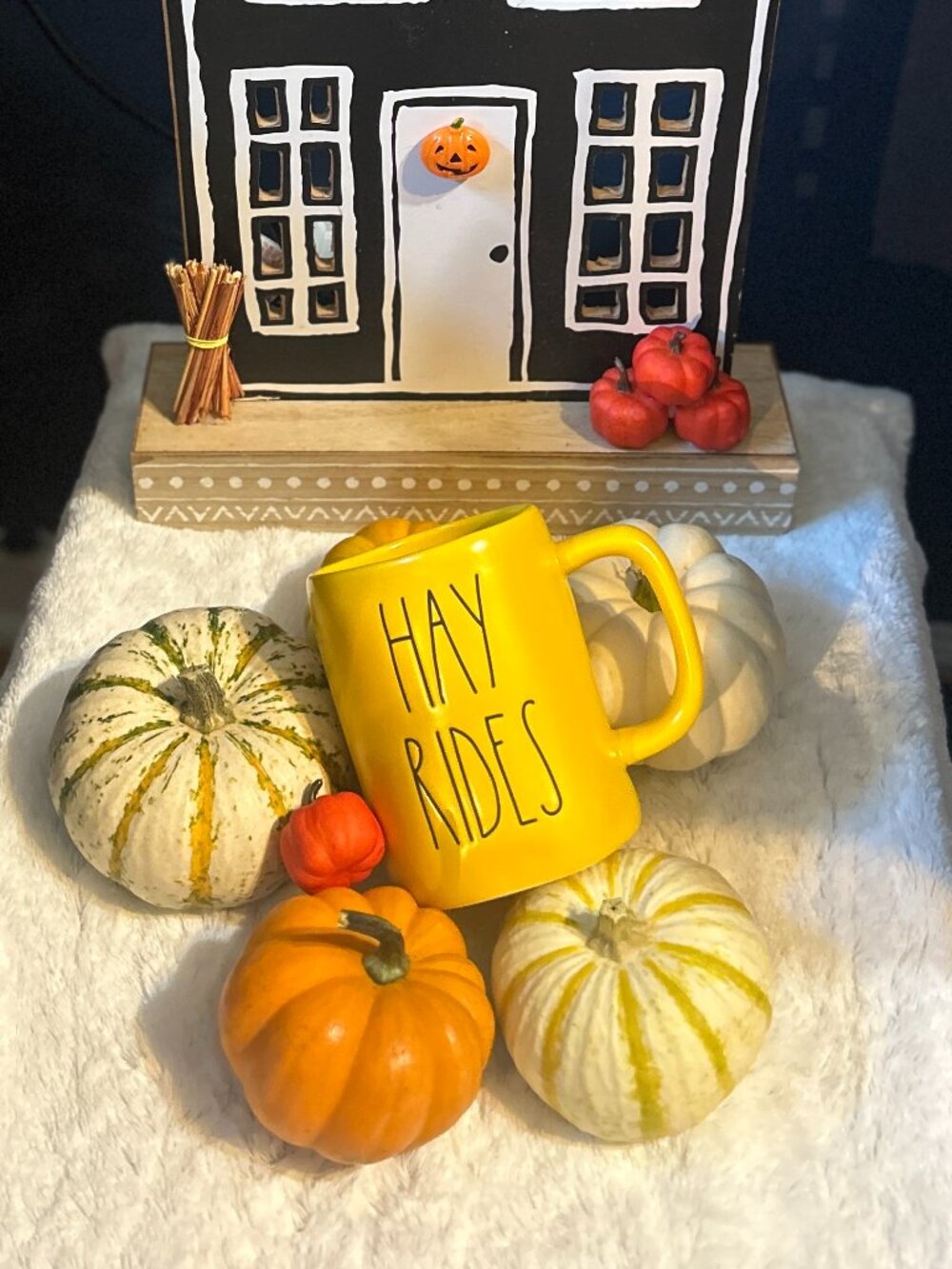 RAE DUNN (HAY RIDES) Mug